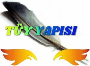 tavuklarin tuy yapisi